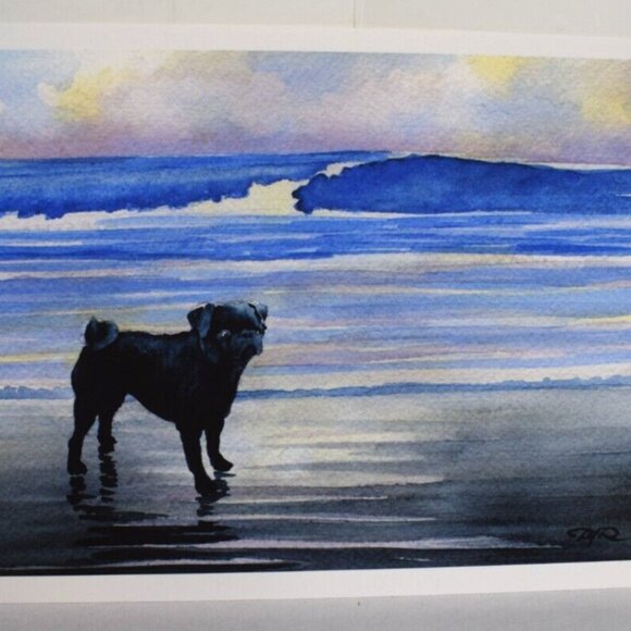 Black Pug On Beach David J Rogers Fine Art Gallery Print COA 5.5"x7.5"! - Picture 1 of 4